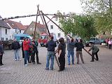 Maibaum 2009 154